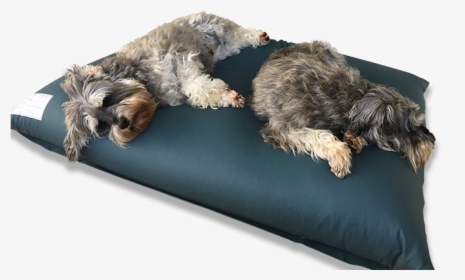Dog-bed - Png Pet Bed, Transparent Png, Transparent PNG