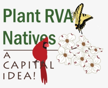 Plant Rva Natives A Capital Idea Logo - Illustration, HD Png Download, Transparent PNG