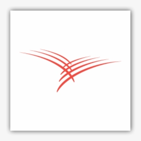 Cardinal Health Logo - Cardinal Health, HD Png Download, Transparent PNG