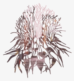 Knot Design 1 Copy, HD Png Download, Transparent PNG