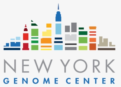 New York, Ny - New York Genome Center, HD Png Download, Transparent PNG