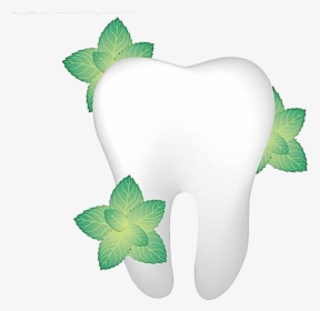 Single Teeth Png Image Transparent - Flower Tooth Png, Png Download, Transparent PNG