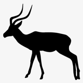 Impala Png Image With Transparent Background - Silhouette Antelope Clipart, Png Download, Transparent PNG