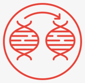Gene Mutation Icon, HD Png Download, Transparent PNG