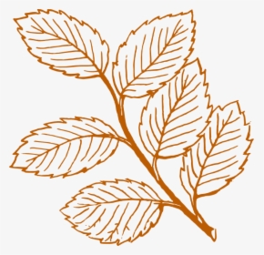 Leaves Clipart Black And White, HD Png Download, Transparent PNG