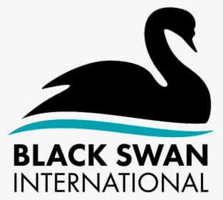 Black Swan International - Duck, HD Png Download, Transparent PNG