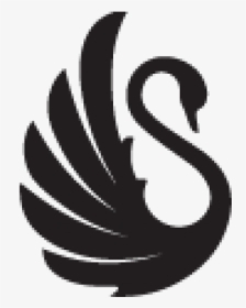Black-swan - Black Swan Logo Png, Transparent Png, Transparent PNG