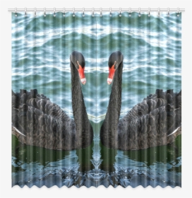 Peaceful Black Swan Window Curtain 52 X108 - Black Swan, HD Png Download, Transparent PNG