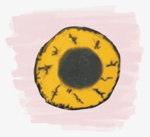 Circle, HD Png Download, Transparent PNG