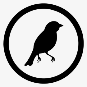 Bird Creatures Life Free Photo - Copyright Symbol, HD Png Download, Transparent PNG