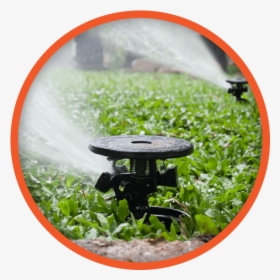 Sprinkler Repair In Dallas - Types Of Sprinkler System For Garden, HD Png Download, Transparent PNG