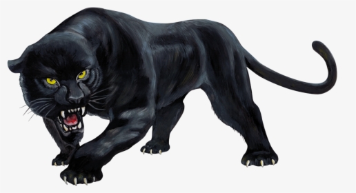 Real Panthera Sim D - Full Body Black Panther Animal, HD Png Download, Transparent PNG