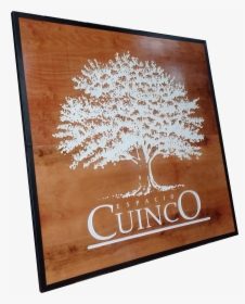 Tree, HD Png Download, Transparent PNG