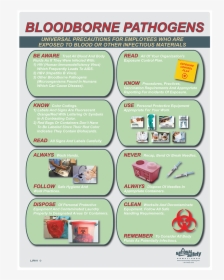 Bloodborne Pathogens Poster, HD Png Download, Transparent PNG