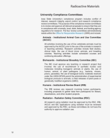 Document, HD Png Download, Transparent PNG