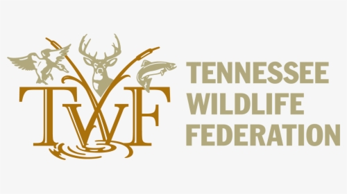 Tennessee Wildlife Federation, HD Png Download, Transparent PNG