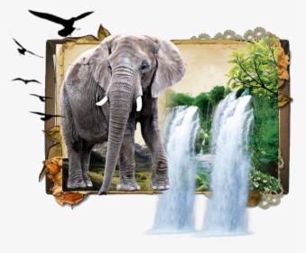 #elephant #jungle #book #dk925 #dk925designs - Book Background Vintage Paper, HD Png Download, Transparent PNG