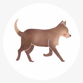 Jungle Book - Dog, HD Png Download, Transparent PNG