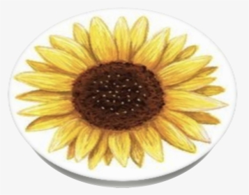 Sunflower Sticker, HD Png Download, Transparent PNG