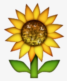 Sunflower Emoji Flowers Freetoedit - Sunflower Emoji Png, Transparent Png, Transparent PNG