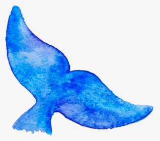 Whale Tail Drawing , Png Download - Whale Tail Cartoon, Transparent Png, Transparent PNG