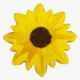 Sunflower Cookie   Class - Sunflower, HD Png Download, Transparent PNG
