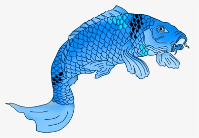Fish,line Art,fish,clip Art,animal Figure,tail,graphics - Koi Fish Drawing Colored, HD Png Download, Transparent PNG