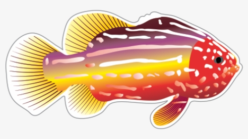 Fish Drawing Clip Art - Transparent Background Fish Swimming Gif, HD Png Download, Transparent PNG