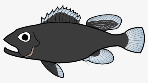Transition Drawing Fish - California Flounder, HD Png Download, Transparent PNG