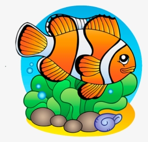 Pez Payaso - Draw On Life Under Water, HD Png Download, Transparent PNG