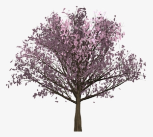 Cherry, Pink, Tree, Painted Tree, Image Painting, Plant - Red Bud, HD Png Download, Transparent PNG