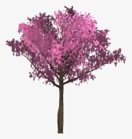 Cherry, Pink, Tree, Painted Tree, Purple - Arbol Rosado Png, Transparent Png, Transparent PNG