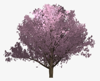 Cherry, Pink, Tree, Painted Tree, Image Painting, Plant - Painting, HD Png Download, Transparent PNG