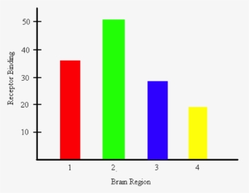 Bar Graph Representing The Amount Of Receptor Binding - Aba Bar Graph Examples, HD Png Download, Transparent PNG