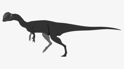 Dilophosaurus - Lesothosaurus, HD Png Download, Transparent PNG