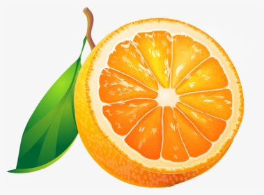 Tangerine Clipart Clip Art, HD Png Download, Transparent PNG
