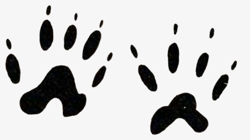 Footprints Animal Tatoo Wild Pawns Freetoedit - Mussel, HD Png Download, Transparent PNG