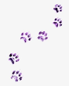 Footprints Freetoedit - Floral Design, HD Png Download, Transparent PNG