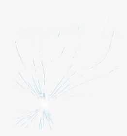Sketch, HD Png Download, Transparent PNG