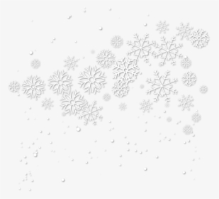 Circle, HD Png Download, Transparent PNG