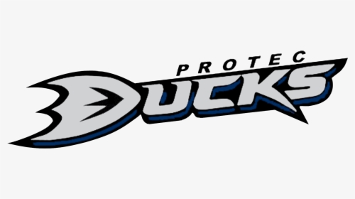 Protec Ducks, HD Png Download, Transparent PNG