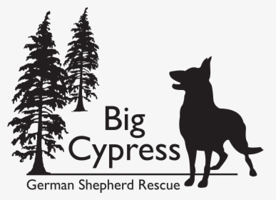 Big Cypress German Shepherd Rescue, HD Png Download, Transparent PNG