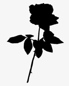 Black Rose Png - Black Rose Silhouette Transparent, Png Download, Transparent PNG