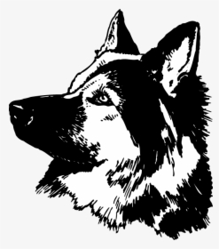 German Shepherd Graphic - German Shepherd, HD Png Download, Transparent PNG