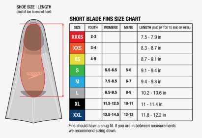 Speedo Switchblade Size Chart, HD Png Download, Transparent PNG
