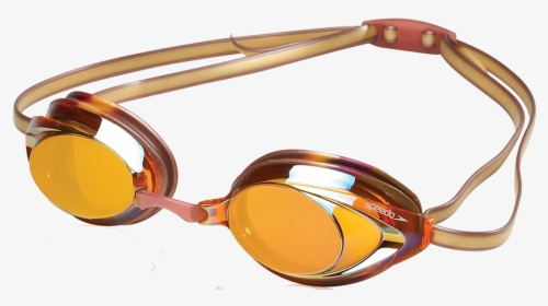 Speedo Maroon And Gold Vanquisher - Glasses, HD Png Download, Transparent PNG
