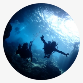 Transparent Diving Board Clipart - Freediving, HD Png Download, Transparent PNG