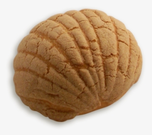 Cinnamon Concha - Peanut Butter Cookie, HD Png Download, Transparent PNG