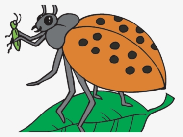 Scientist Clipart Insect - Cartoon, HD Png Download, Transparent PNG