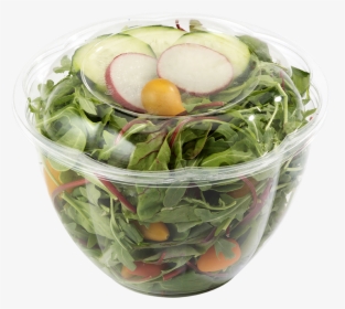 48 Oz World Centric Clear Salad Bowl - Salad Bowl Transparent, HD Png Download, Transparent PNG